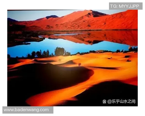 探索奥蓬达的魅力与历史:一段关于文化与自然的奇妙旅程